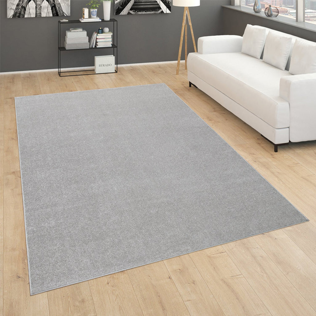 Solid Flatweave Rug Porto for Living Room - Silver-4
